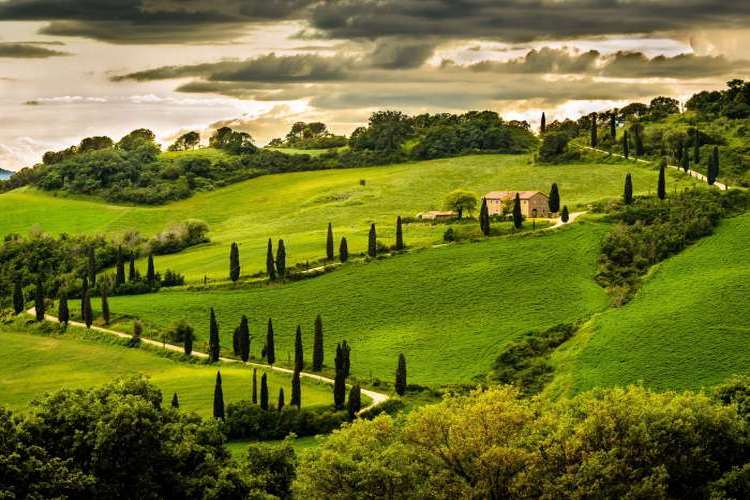 Umbria Landscape